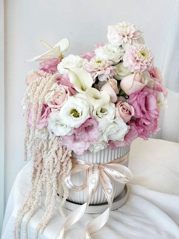 סידור לומינה